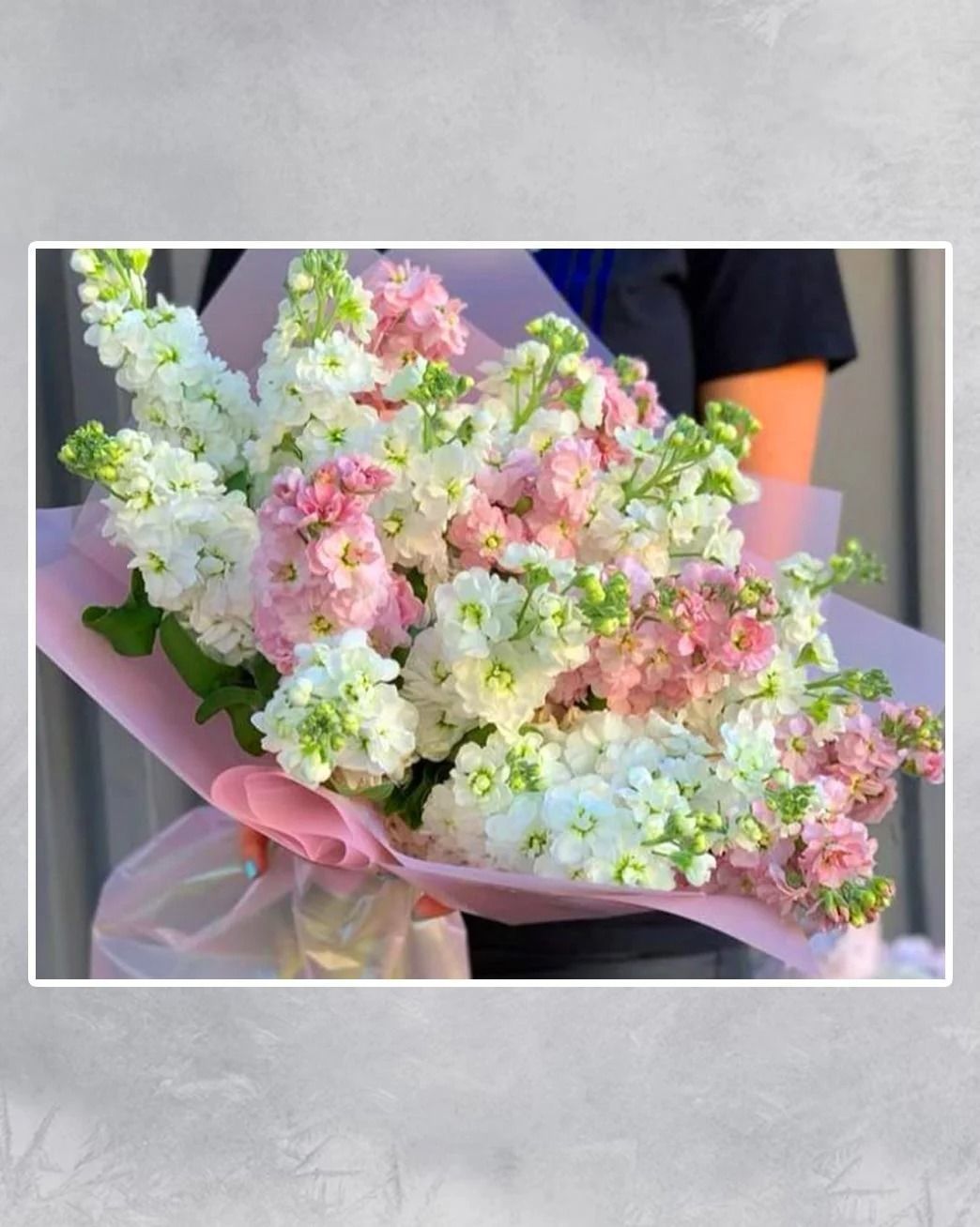 ŞenŞebboy Mucizesi