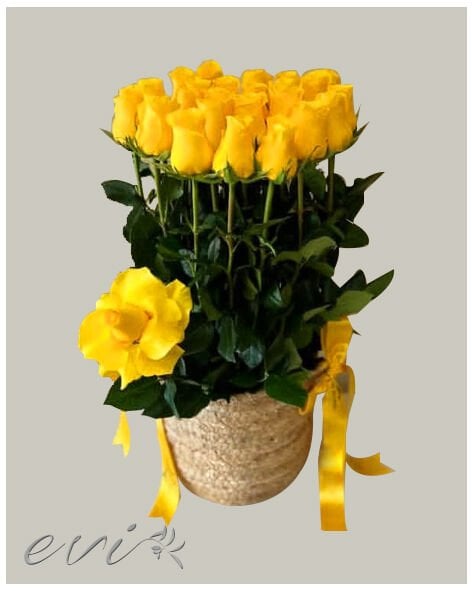 Süreyya.. BamBAşka