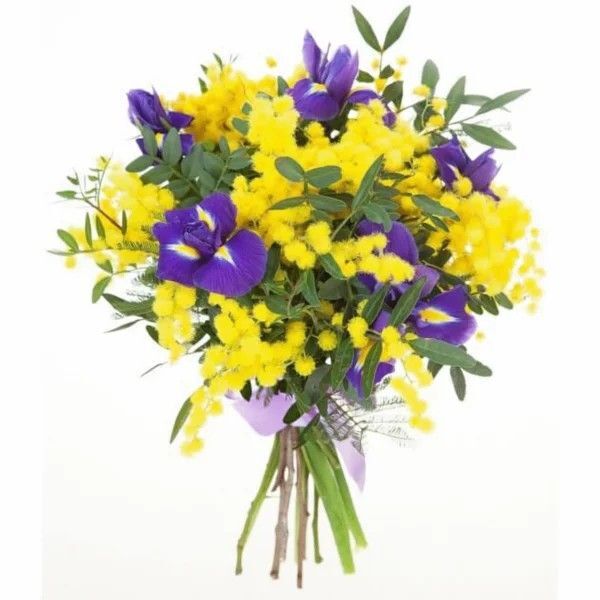 Mimoza Ve İris Buketi