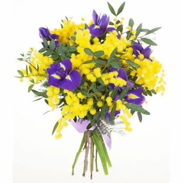 Mimoza Ve İris Buketi