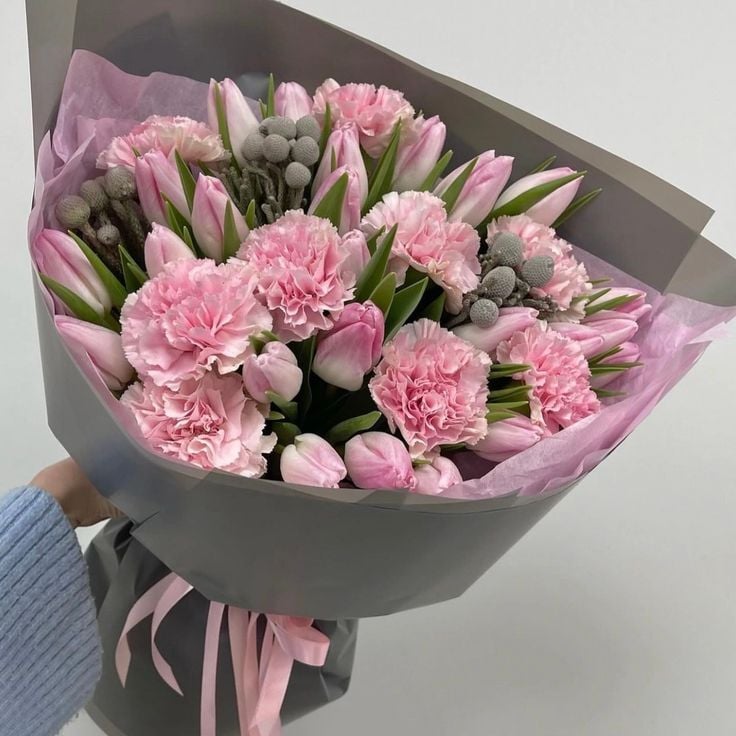 Karanfil ve Lale Uyumu