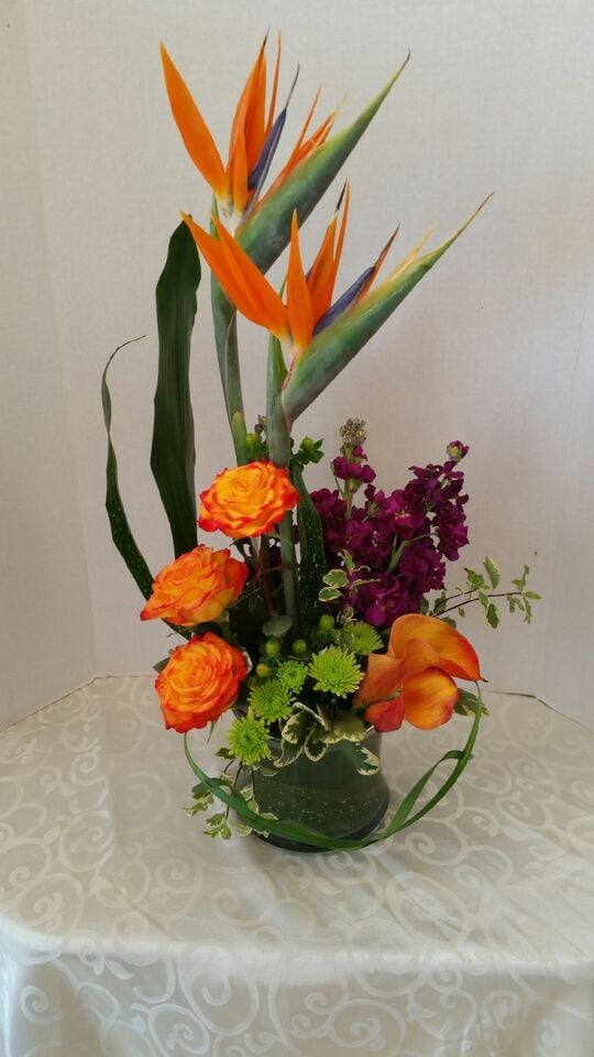 Turunucu ve Mor Uyumu