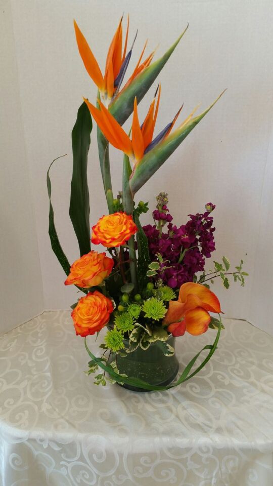 Turunucu ve Mor Uyumu