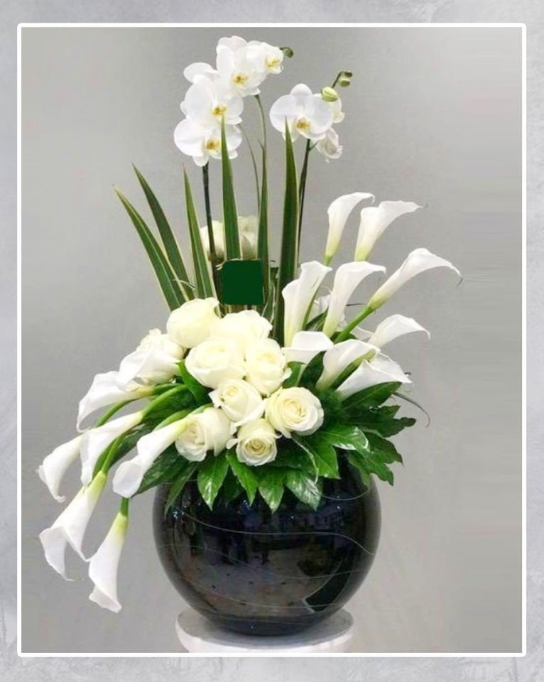 Beyaz Orkide Büyüsü