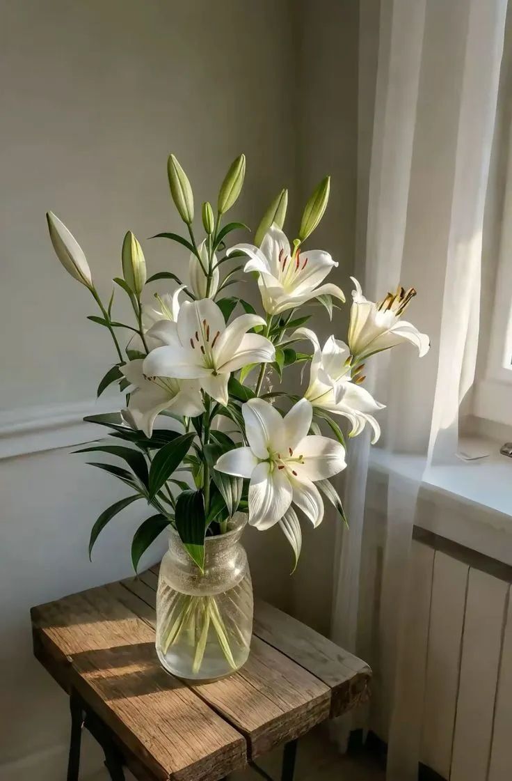 Vazoda Beyaz Lilyumlar