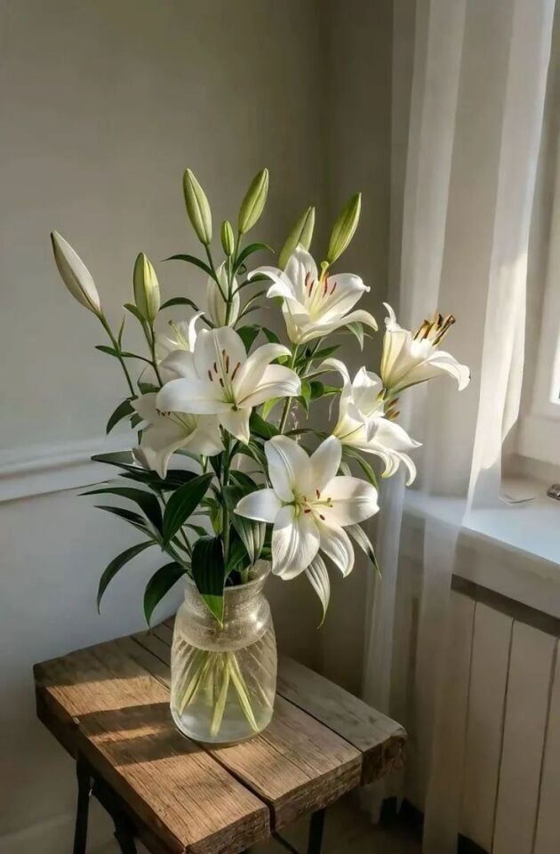Vazoda Beyaz Lilyumlar